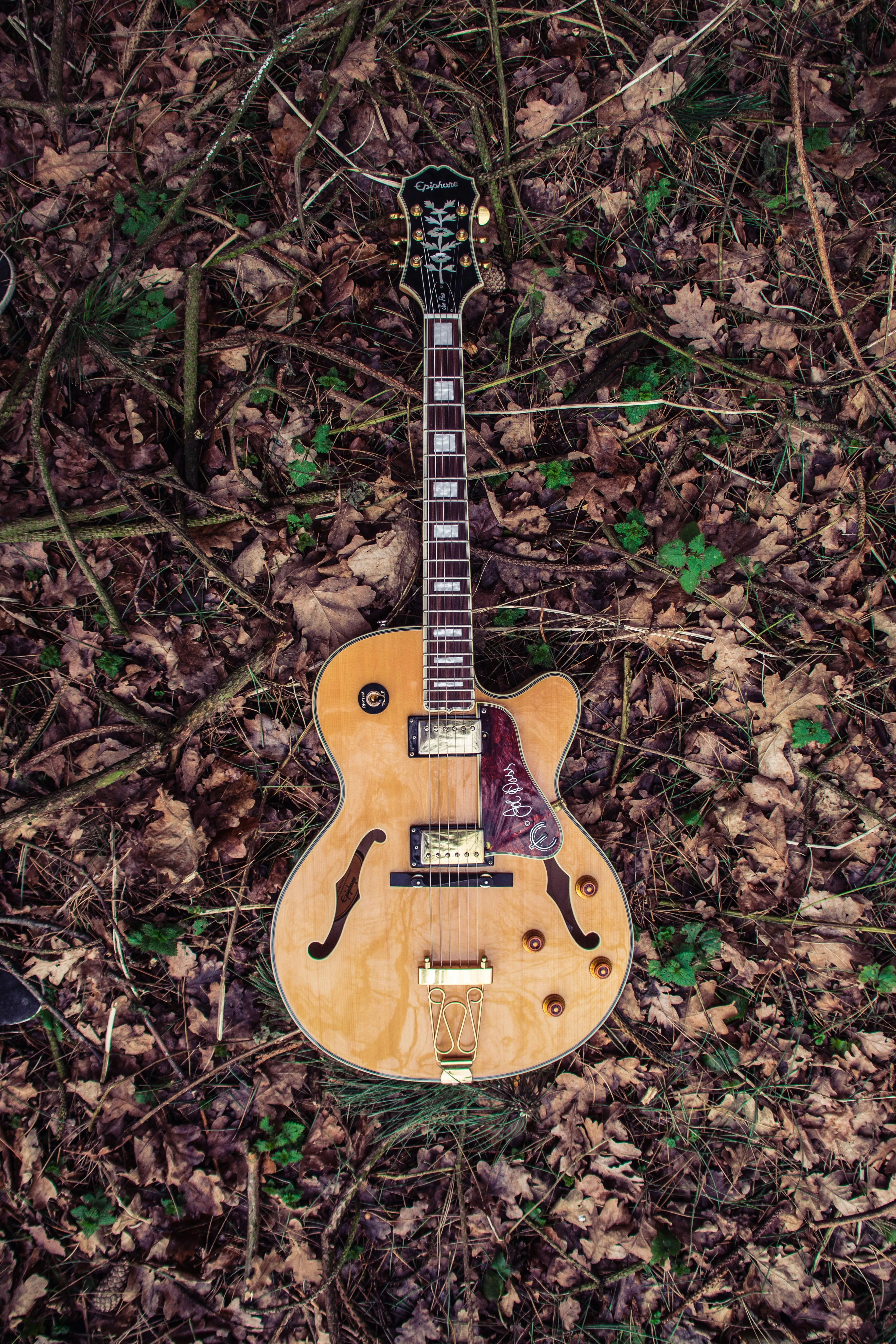 Hollow body guitar resting on autumn leaves — starting fresh at any age