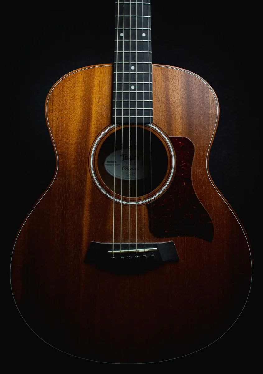 Acoustic guitar for adult beginners — best guitar for learning over 50